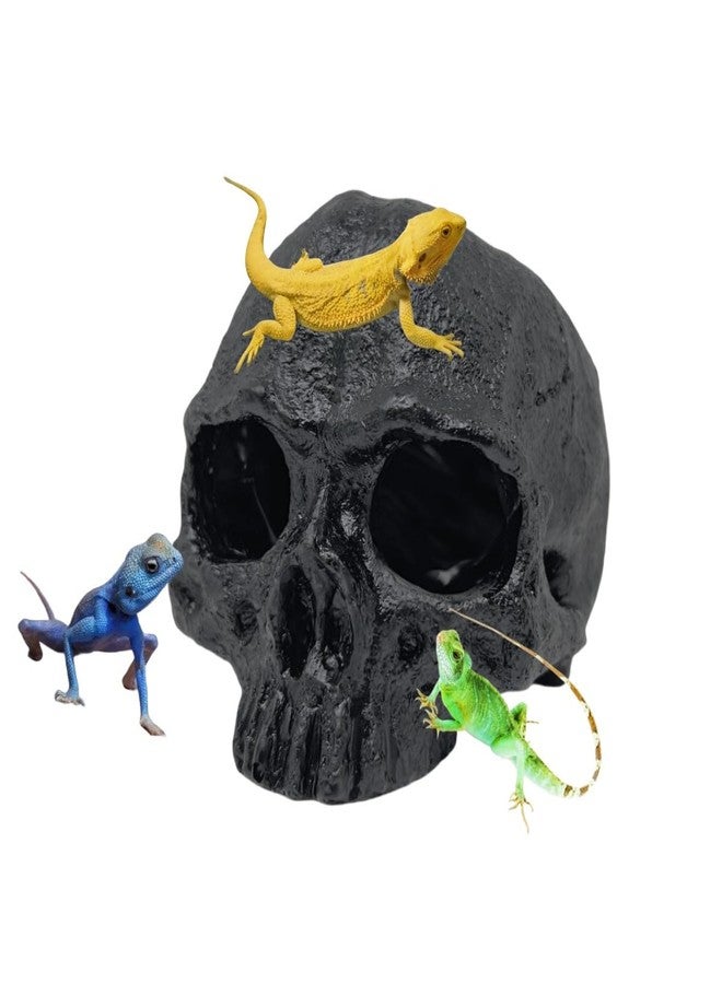 Odebyata Aquarium Terrarium Skull Decor, Reptile Hide House Shelter Cave for Geckos Spider Lizard Snake, Fish Tank Hide Cave House Hideouts Stones for Small Fish Shrimp Betta Crab Guppy Cichlids (Black) - Image 1